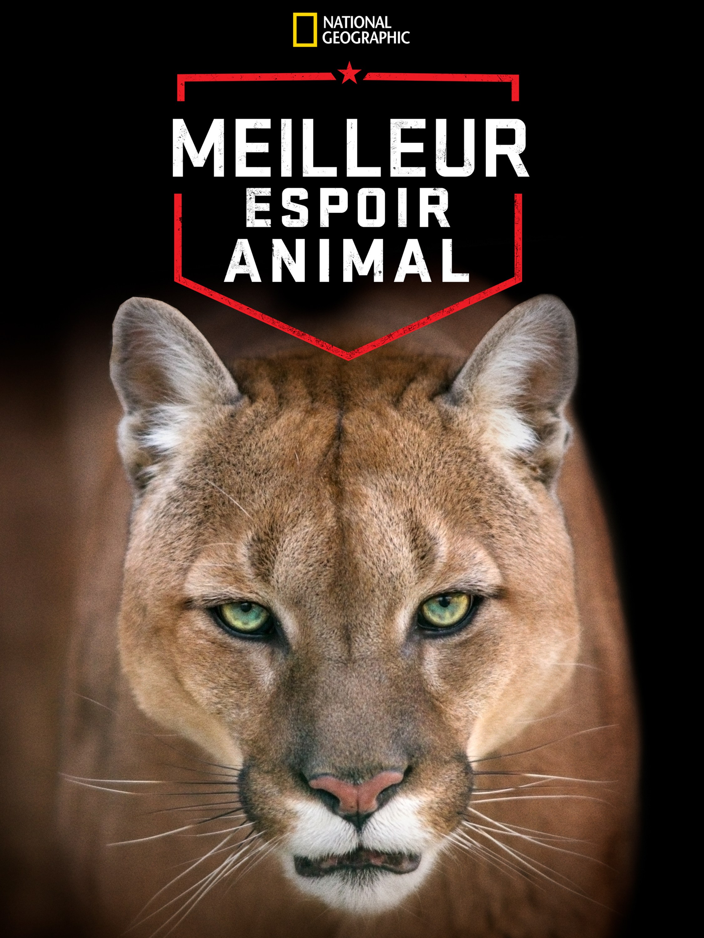     America's Greatest Animals